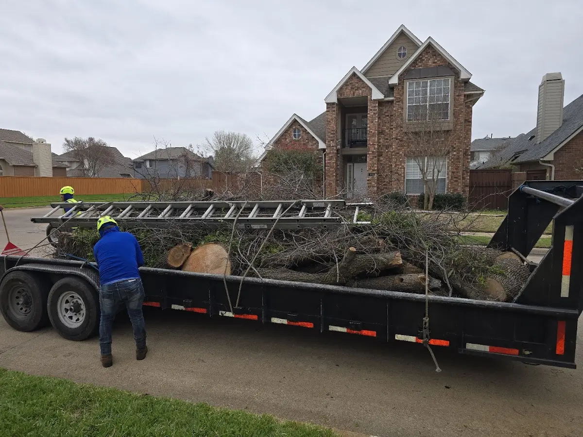 Expert Tree Fertilization with proper safety equipment in Brook